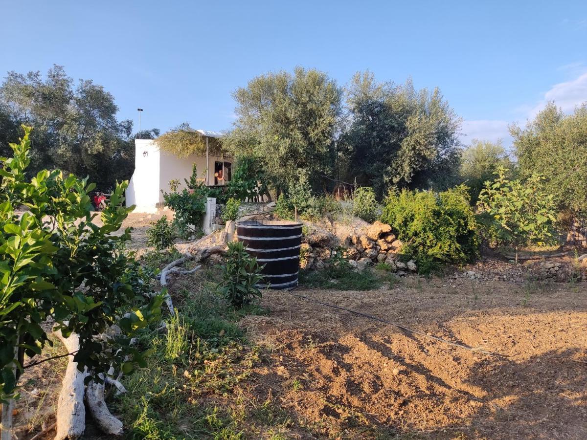 Corfu Oasis Studio Neochorakion Kültér fotó
