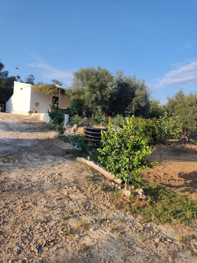 Corfu Oasis Studio Neochorakion Kültér fotó